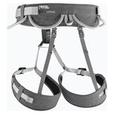 Corax, climbing harness